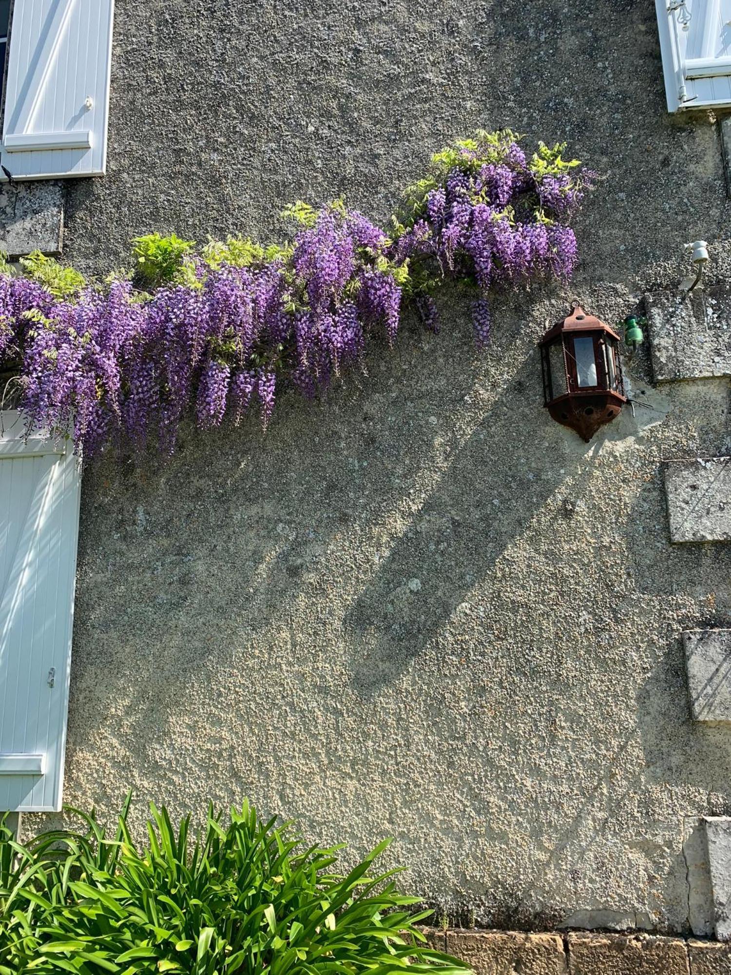 No5 Chambre D'Hotes Courcome 외부 사진